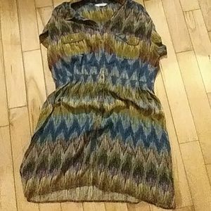 Adorable shirt dress